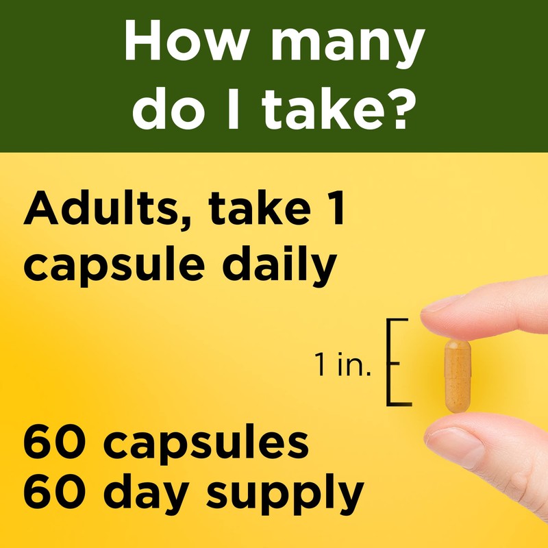 Nature Made Turmeric Curcumin 500 mg, Herbal Supplement for Antioxidant