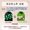 manatom Moss Terrarium Figure, Kurosuke Terrarium Figure, Moss Terrarium Kit