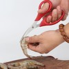 MINGZE 1 Piece Multifunctional Kitchen Scissors Fine Lobster Shears Shrimp