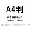 Iwata MS-61G-A4-NT Picture Frame, Award Frame, A4, Natural