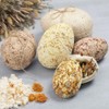 Crafty Capers Three Opening Fillable Paper Mache Eggs to Decorate