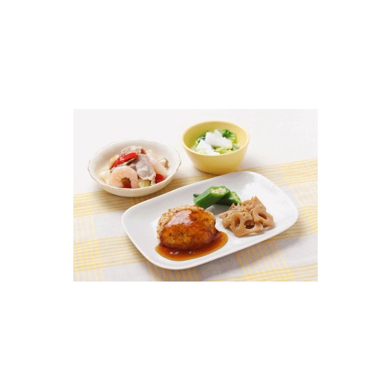 Calorie Control Diet 240 (Energy 240 Kcal, Salt 0.8 oz