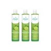 Pack 3 Shampoo Bergamota Sheló Nabel