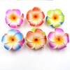 10 Pcs Multicolor Hawaii Plumeria Flower Clips Hawaiian Flower Hair