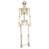 Crazy Bonez Pose-N-Stay Metal Stand for 60 Inch (5 Ft.)