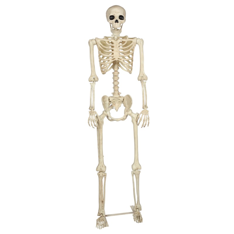 Crazy Bonez Pose-N-Stay Metal Stand for 60 Inch (5 Ft.)