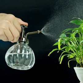 THY COLLECTIBLES Flower Water Spray Bottle Can Pot Plant Mister | Vintage Pumpkin Style Decorative Glass Plant Atomizer Watering Can Pot with Pump for Terrariums Flowers Potted Plants (Clear)