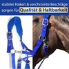 Cold-blood Padded Headcollar for Horses Xfull with Fleece Halter for