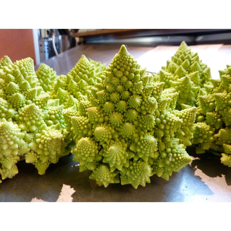 Seeds Romanesco Broccoli Beautiful Cabbage Heirloom Vegetable Non GMO