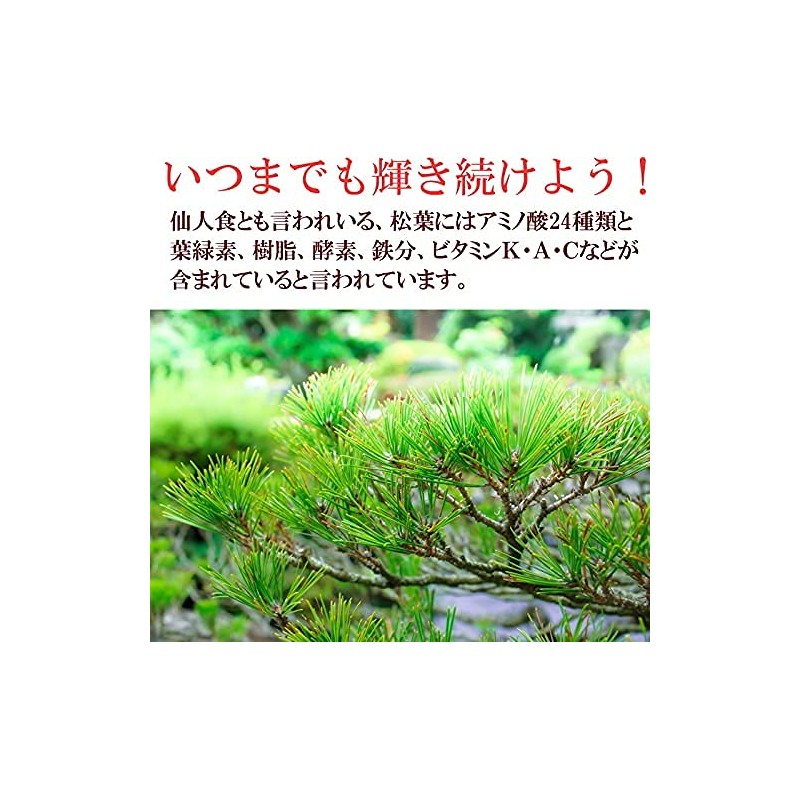 松葉の力 サプリメント 約1か月分