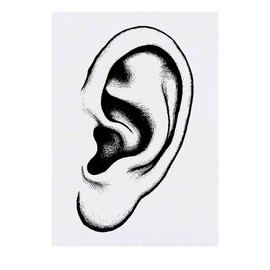 'Human Ear' Temporary Tattoo - Water Resistant, Skin-Safe, Non-Toxic Transfer (TO00080361)