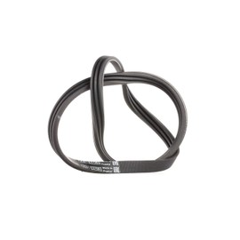BOSCH 1 987 947 572 V-Ribbed Belt