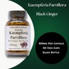 파비플로라 태국 흑생강 끄라차이담 뿌리 분말 600mg 무첨가 비건 60