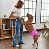 UNIPUP Reusable Female Dog Diapers Period Panties Washable Puppy Pee