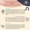 Devinez Sandalwood (Chandan) Essential Oil, 100% Pure, Natural & Undiluted,