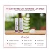 Aloe Lips Forever Living Sábila Jojoba Propoleo Bálsamo