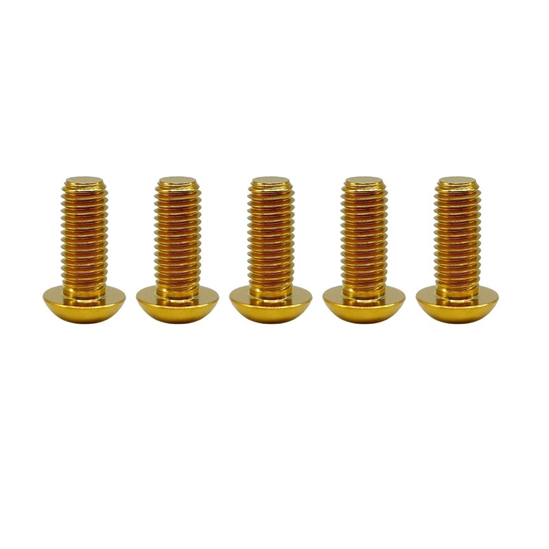 RISON Pack of 5 Titanium Rounded Head Screws with Hexagon