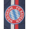 FC Bayern München Hoisting Flag Navy 180 x 120 cm
