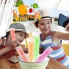 FEBSNOW 100 Ice Lolly Bags Disposable Ice Popsicle Mold Bags,