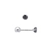 3MM Tiny Cubic Zirconia Stud Screw Backs Sterling Silver Earrings