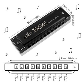 Pack of 2 Harmonica, Harmonica for Children, 10-Hole Diatonic Harmonica, Harmonica C Major Blues Harmonica, Kids Harmonica Toy, for Beginners (Blue and Black)