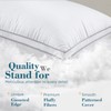 viewstar Pillows Queen Size Set of 2, Hotel Quality, Down