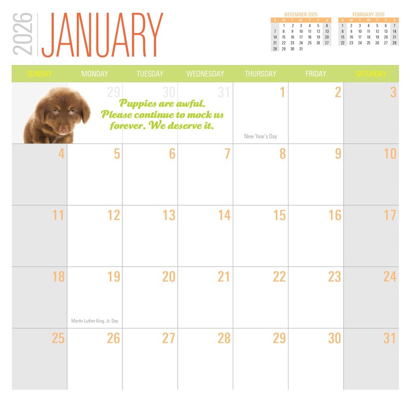 Social Justice Kittens 2026 Calendar