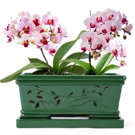 Tbpro Large Rectangle Terracotta Orchid Pots with Holes Green 12 * 6.3 * 5.3 Inch Clay Orchid Planter Pots with Saucer for Repotting Plant Pots Orchid Indoor Outdoor Promotes Air Circulation