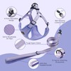 BELLA & PAL Dog Harness with Leash Set, Adjustable Step-in