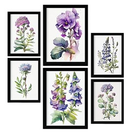Nacnic Violet Posters. Full Colour Nature and Botany Prints with Floral Themes over Pure White Backgrounds. Aesthetic Illustrations for Interior Design and Decoration. A4 & A3.