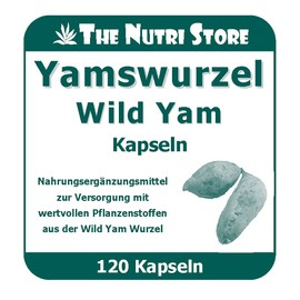 Yamswurzel Wild Yam 250 mg Capsules Pack of 120