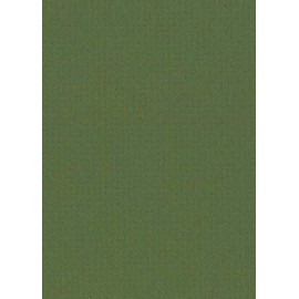 Poster Palooza Dill Green 16x20 Backing Board - Uncut Photo Mat Board
