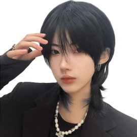 PEACOCO Men's Short Wig, Wig, Masculine Costume, Blonde Wig, Wolf, Black Hair, For Cosplay, No Gray Hair, Natural Black