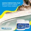 E-Z Patch 3 Thinset Pool Tile Setting Cement - White