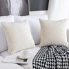 Cushion Covers Set of 2 Decorative Rectangular Square Pillow Case