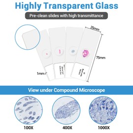100P Microscope Slides with Biological Samples, Animals, Insects, Plants, Human Tissue, for Children, Students, Enlightening Education