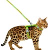 Freezx Cat Harness and Leash Set - Adjustable Escape Proof