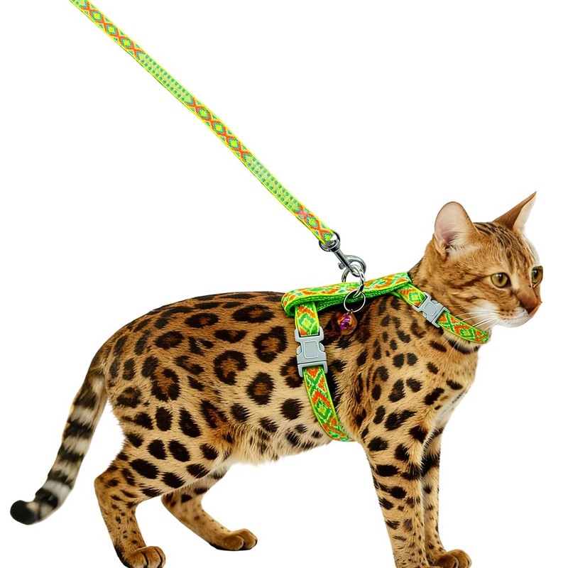Freezx Cat Harness and Leash Set - Adjustable Escape Proof