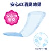 Natura Smooth Skin Absorbent Panty Liner (Light), 50 Pieces