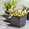 Prosper Plast DRLK250-7529U 25 x 25 x 22 cm "Ratolla"