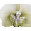 Accesyes Moist Orchid Hair Clips Pearl Moth Orchid Hairpin Bohemia