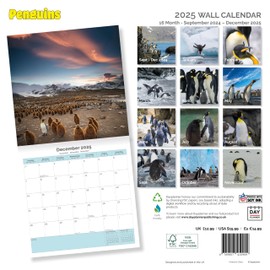Dayplanner Publishing Penguins Calendar 2025, Large Square Wall Calendar, 16 Month, Penguins Gift Wildlife Calendar