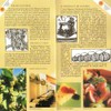 Traditional Balsamic Vinegar of Modena PDO 12 years old, 3.4