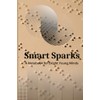 Smart Sparks: A Notebook for Bright Young Minds: A 6x9