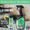 Stink Free UV Black Light Flashlight for Pet Urine Detection.