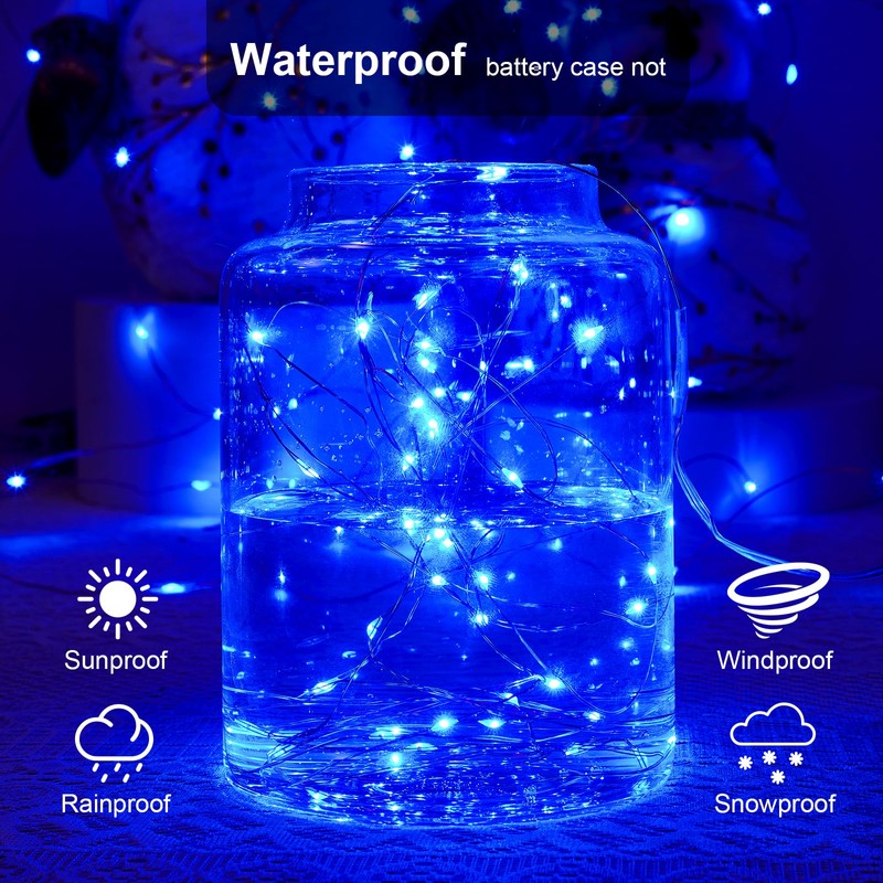 Ariceleo 2 Pack 16.4ft Battery Operated String Lights with Timer,