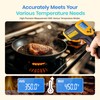 Etekcity Infrared Thermometer Laser Temperature Gun 774, Meat Food Candy