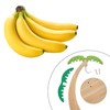 Durable Stainless Steel Hook Banana Holder Stand with Reactive Shape