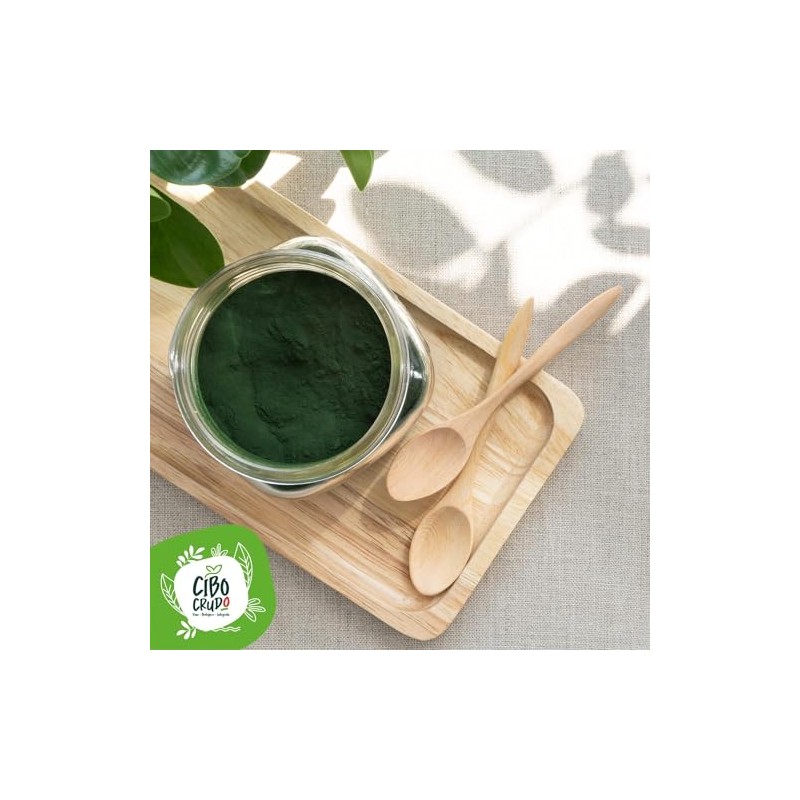 Organic Chlorella Powder - 100 g. Chlorella Algae Powder Made