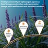Ophiopogon Herb Mai Dong Mai Men Dong Ophiopogon Japonicus Health